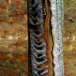 Close-up detail of hand-thrown pottery by Puketai Pottery
