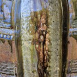 Close-up detail of hand-thrown pottery by Puketai Pottery