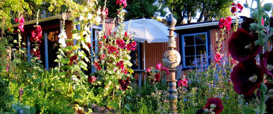 Handmade pottery on display at Puketai Pottery